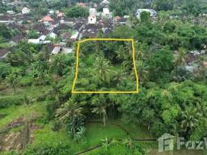 Land for sale in Ubud, Bali lokasi di Gianyar Kab., tersedia melalui melalui situs Olx