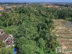 Land for sale in Ubud, Bali lokasi di Gianyar Kab., tersedia melalui melalui situs Olx