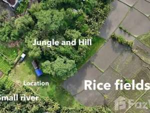 Land for sale in Ubud, Bali lokasi di Gianyar Kab., tersedia melalui melalui situs Olx