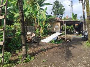 Land for Sale Leasehold - 2 Are Strategic Nyanyi, Tabanan, Bali lokasi di Tabanan Kab., tersedia melalui melalui situs Olx