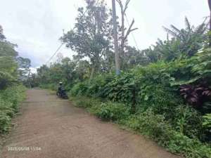 Land in Wanagiri Singaraja near Altavista Bali Mountain Villa lokasi di Buleleng Kab., tersedia melalui melalui situs Olx