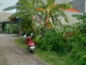 Langkah Dijual Tanah Siap Bangunan Lokasi Perumahan Putri Juanda Mbetro Sedati Sidoarjo lokasi di Sidoarjo  Kab., tersedia melalui melalui situs Olx