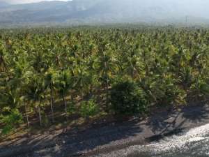 Leasehold - Exclusive Beachfront Land in Tejakula, Buleleng lokasi di Buleleng Kab., tersedia melalui melalui situs Olx