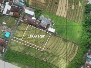Leasehold - Strategic 10-Are Land for Private Home or Villa Development in Canggu, Bali lokasi di Kab. Badung, tersedia melalui melalui situs Olx