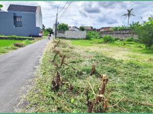 Legalitas SHM Tanah Jl. Jambon Sleman lokasi di Sleman Kab., tersedia melalui melalui situs Olx