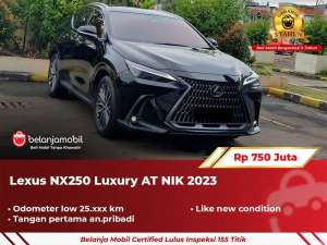 Jual bekas LOW KMLexus NX250 NX 250 Luxury AT 2023 2024,lokasi di Jakarta Selatan