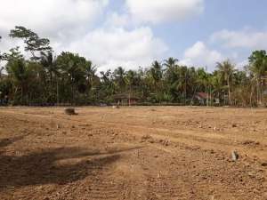 Moyudan Tanah Murah di Sleman SHM lokasi di Sleman Kab., tersedia melalui melalui situs Olx