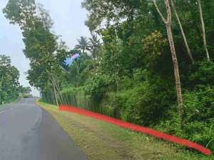 MURAH BUTanah Bagus Area Sentolo Kulonprogo Yogyakarta lokasi di Bantul Kab., tersedia melalui melalui situs Olx