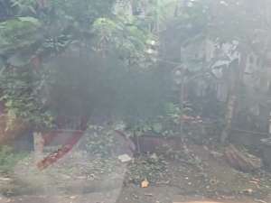 MurahDIJUAL KAVLING TANAH DI NIRWANA ESTATE SIAP BANGUN BARU lokasi di Bogor Kab., tersedia melalui melalui situs Olx