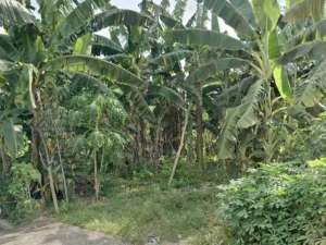 Murah Hanya 2,250Jtmtr Tanah Siwalankerto Permai Cocok buat Rumah Kost Dkt Kampus Petra lokasi di Surabaya Kota, tersedia melalui melalui situs Olx