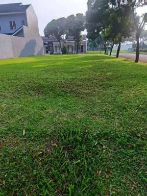 Murah Kavling Cempaka Lt. 287 Suvarna Sutera Cikupa Tangerang lokasi di Tangerang Kab., tersedia melalui melalui situs Olx