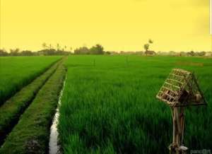 MURAH Rumah Cluster Pekalongan lokasi di Pekalongan Kota, tersedia melalui melalui situs Olx