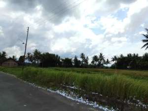 Murah selangkah Borobudur , Tanah 2 jutaan view sawah lokasi di Bantul Kab., tersedia melalui melalui situs Olx