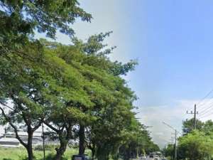 Murah Tanah Industri Nol Jalan Raya Beji lokasi di Pasuruan Kab., tersedia melalui melalui situs Olx