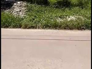 Murah Tanah Luas Strategis Margaasih Bandung Jawa Barat lokasi di Bandung Barat Kab., tersedia melalui melalui situs Olx