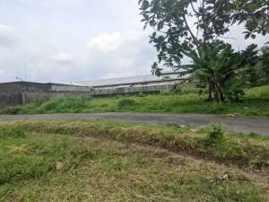 MURAH tanah Palagan dekat Pasar Rejodani tepi aspal ,SHM P lokasi di Sleman Kab., tersedia melalui melalui situs Olx