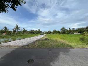 Murah Tanah Pandanaran Kaliurang km 13 Jogja lokasi di Sleman Kab., tersedia melalui melalui situs Olx