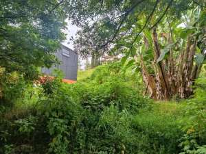 Murah Tanah Siap Bangun di Komp. Royal View Residence, Ciwaruga, Dkt Gegerkalong, Setiabudi, Pasteur, Bandung lokasi di Bandung Kota, tersedia melalui melalui situs Olx