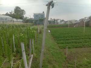 MURRAAHH KAVLING STRATEGIS JALUR UTAMA COCOK UNTUK MINIMARKET, SPBU SIAP BANGUN DI CISARUA CIHANJUANG BANDUNG lokasi di Cimahi Kota, tersedia melalui melalui situs Olx