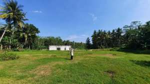 Nanggulan Tanah Murah Siap Bangun Kawasan Asri SHM lokasi di Kulon Progo Kab., tersedia melalui melalui situs Olx