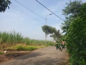 NGGENTONG TANAH 1 Ha DI MOJOKERTO, Rp 400 ribu per m2 ZONA INDUSTRI, lokasi di Mojokerto Kab., tersedia melalui melalui situs Olx