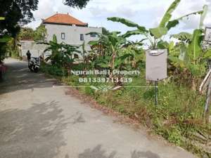 Over Kontrak Murah Tanah View Sawah Luas 500 m2 di Sayan Ubud lokasi di Gianyar Kab., tersedia melalui melalui situs Olx