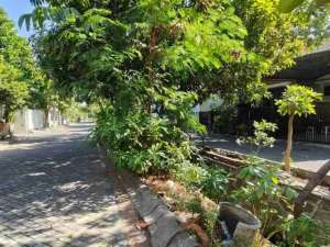 PALM SPRING LEBAR 10 Jual Rumah 2 Lantai dekat Masjid Al Akbar Jambangan lokasi di Surabaya Kota, tersedia melalui melalui situs Olx