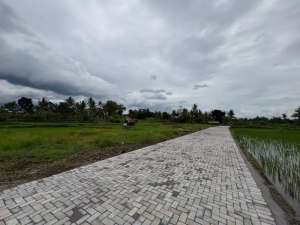 Pandanaran Tanah Murah dekat UII SHM lokasi di Sleman Kab., tersedia melalui melalui situs Olx