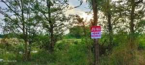 Pasuruan. Lahan Industri. Depan Meiji lokasi di Pasuruan Kab., tersedia melalui melalui situs Olx