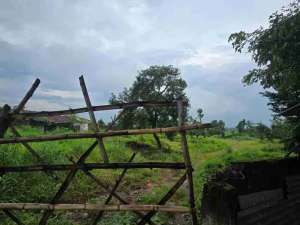 Pasuruan, lahan kuning siap bangun, nol jalan lokasi di Pasuruan Kab., tersedia melalui melalui situs Olx