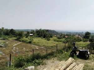 PEMANDANGAN SAWAH YANG MEMPESONA.JUAL SAWAH PRODUKTIF BISA 3X PANEN lokasi di Purwakarta Kab., tersedia melalui melalui situs Olx