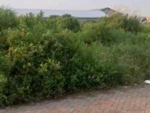 Pergudangan bumi maspion Romokalisari Gresik row jalan akses kontainer lokasi di Gresik Kab., tersedia melalui melalui situs Olx