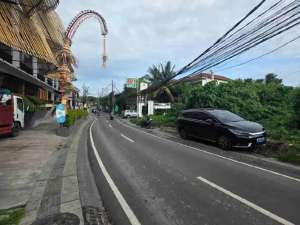 Pink Zone Land for Leasehold in Berawa Beach Canggu Bali lokasi di Kab. Badung, tersedia melalui melalui situs Olx