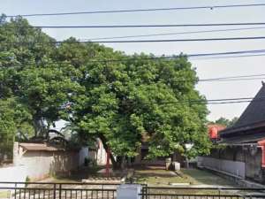 Pondok Cabe Lt.4667 m Rp.5 jt nego SHM lokasi di Tangerang Selatan Kota, tersedia melalui melalui situs Olx