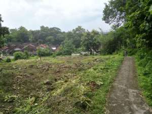 Prambanan Tanah Murah Siap AJB lokasi di Klaten Kab., tersedia melalui melalui situs Olx