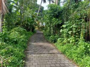 prehold 9 arezona ping 3 menit ke kota ubud lokasi di Gianyar Kab., tersedia melalui melalui situs Olx