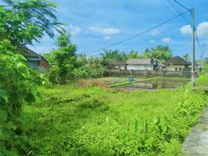 Prime 200 sqm of Leasehold Land Build Your Dream in Ubud lokasi di Gianyar Kab., tersedia melalui melalui situs Olx