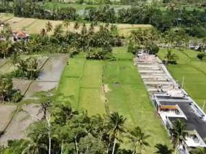 Prime 3.130 sqm of Leasehold Land with Stunning Rice Field Views Ubud lokasi di Gianyar Kab., tersedia melalui melalui situs Olx