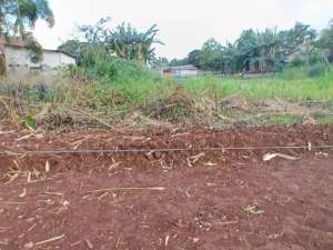 Promo Imlek FREE SHMBBN, Kavling Dekat Tol Bojonggede lokasi di Depok Kota, tersedia melalui melalui situs Olx