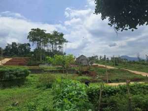 Promo Kavling Dekat Tol Cileunyi Murah Cicil Langsung Developer lokasi di Bandung Kab., tersedia melalui melalui situs Olx