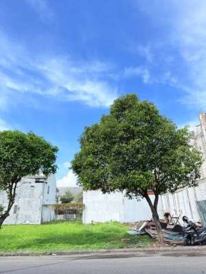 PUNYA OWNER TANPA PERANTARA TANAH KAV. BUKIT PALMA B1 CITRALAND, SBY lokasi di Surabaya Kota, tersedia melalui melalui situs Olx