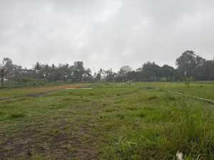 Rejodani Sleman Tanah Siap Bangun SHM lokasi di Sleman Kab., tersedia melalui melalui situs Olx