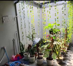 Rumah 2 lti cluster elite awani residence dkt kota baru parahyangan lokasi di Bandung Barat Kab., tersedia melalui melalui situs Olx