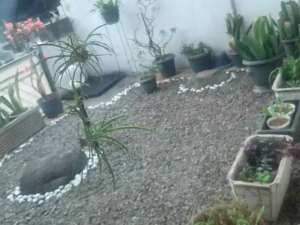 Rumah Bagus Unfurnished di Cinere. Lokasi Strategis lokasi di Depok Kota, tersedia melalui melalui situs Olx