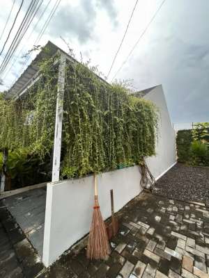 Rumah Cluster Amerhyst F4-01 , Perumahan Permata Bangunjiwo Regency. lokasi di Bantul Kab., tersedia melalui melalui situs Olx