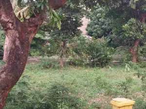 rumah Di pondok jaya lokasi di Jakarta Selatan, tersedia melalui melalui situs Olx