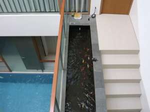 Rumah Full Furnished Dengan Private Pool Di Townhouse Cilandak Barat Jakarta Selatan lokasi di Jakarta Selatan, tersedia melalui melalui situs Olx