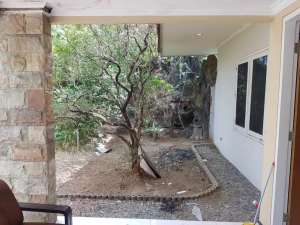 Rumah Gayungsari Siap Huni Surabaya Selatan Dekat Trans Icon lokasi di Surabaya Kota, tersedia melalui melalui situs Olx