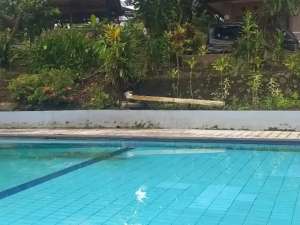 RUMAH GUESTHOUSE DENGAN SUASANA DESA DI CIOMAS BOGOR lokasi di Bogor Kab., tersedia melalui melalui situs Olx