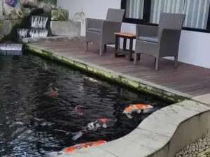 Rumah Lux ada kolam renang dekat griya Arcamanik Endah bandung lokasi di Bandung Kota, tersedia melalui melalui situs Olx